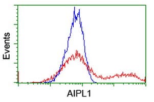 AIPL1 Antibody (clone OTI2D11)