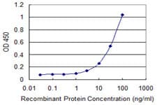 ABCG1 Antibody (clone 2H8)