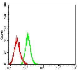 APOER2 / LRP8 Antibody (clone 6F6B6)