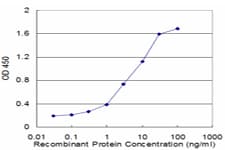 FHL3 Antibody (clone 2C10)