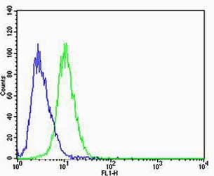 Monoclonal Mouse anti-Human CBX8 Antibody (clone 1214CT171.154.107, C-Terminus, WB)