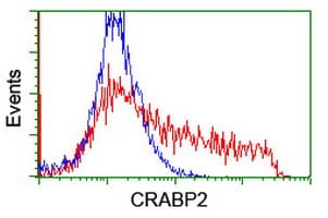 CRABP2 Antibody (clone OTI10D6, Carrier-free)