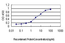 Monoclonal Mouse anti-Human AHSG / Fetuin A Antibody (clone 5D8, WB)