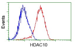HDAC10 Antibody (clone OTI4D4, Carrier-free)