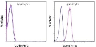 MME / CD10 Antibody (clone SN5c/L4-1A1, FITC)