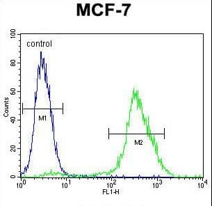 PMPCA Antibody (aa454-483)
