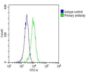 RAB20 Antibody (clone 1694CT210.218.54)