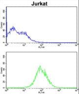 CDCA3 Antibody (aa41-69)