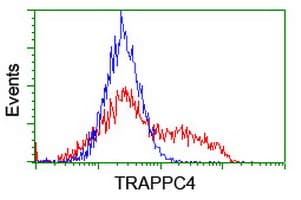 TRAPPC4 / Synbindin Antibody (clone OTI4C3)