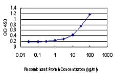 IHC-plus™ AAAS / Adracalin Antibody (clone 5A1)