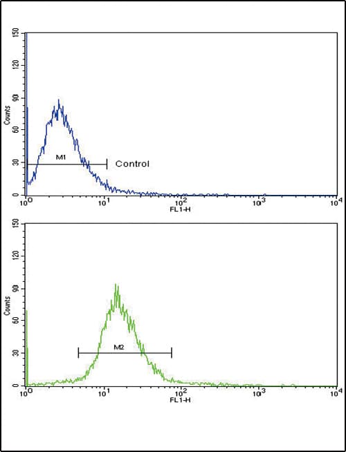 VTN / Vitronectin Antibody (aa352-379)