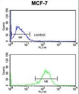 IHC-plus™ IL10RA Antibody (aa147-175)