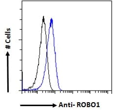 IHC-plus™ ROBO1 Antibody (aa994-1006)