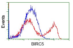 BIRC5 / Survivin Antibody (clone OTI2D9)