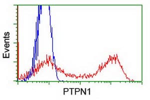 PTP1B Antibody (clone OTI1D10)