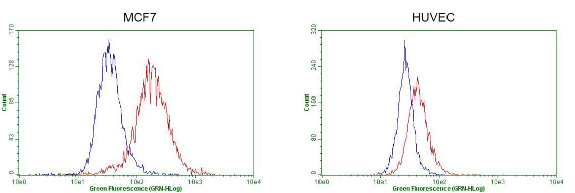 GATA3 Antibody (aa155-443, clone OTI4D5, Carrier-free)