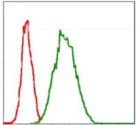 G6PDH Antibody (clone 2H7)