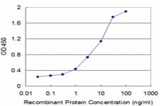 GCHFR Antibody (clone 4G6)