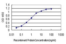 RSU1 Antibody (clone 1C6)