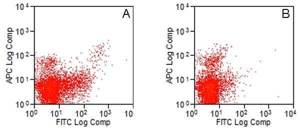 TLR3 Antibody (clone 11F8)