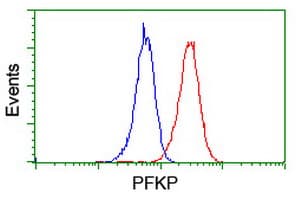 PFKP Antibody (clone OTI2F2, Carrier-free)