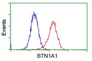 BTN1A1 Antibody (clone OTI7B5)