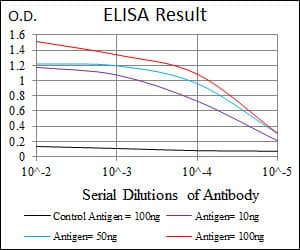 PTPN11 / SHP-2 / NS1 Antibody (clone 6D9)