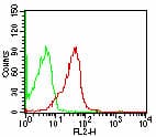 CD47 Antibody (clone B6H12.2, Azide-free)