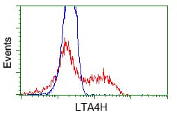 LTA4H / LTA4 Antibody (clone OTI7D11)