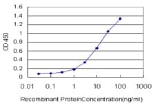 EPHA4 / EPH Receptor A4 Antibody (clone 6H7)
