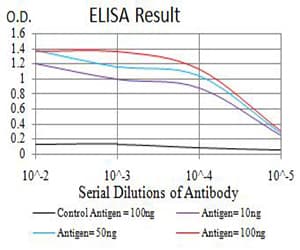 Monoclonal Mouse anti-Human GRM7 / MGLUR7 Antibody (clone 7G8D3, IHC, WB)