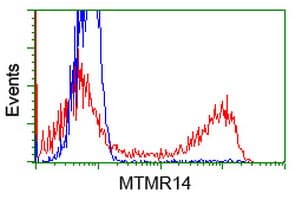 MTMR14 Antibody (clone OTI7F2)