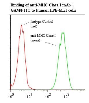 MHC Class I Antibody (clone 3F10)