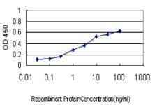 NDUFB3 Antibody (clone 6C6)