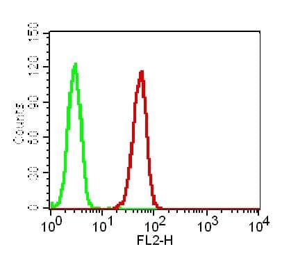 GPR44 / CRTH2 Antibody