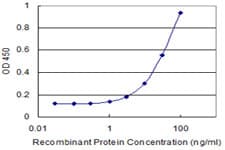 TAF13 Antibody (clone 2B3)