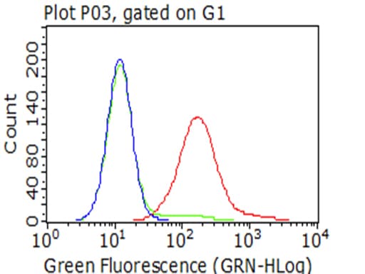 SIRPA / CD172a Antibody (clone OTI2G6)