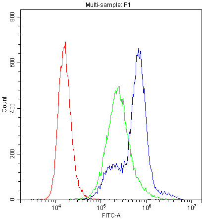 PRKCH / PKC-Eta Antibody (aa30-389)