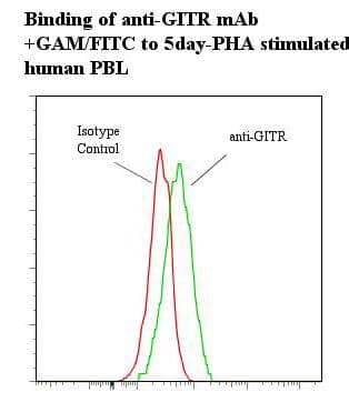 TNFRSF18 / GITR Antibody (clone ANC5E3)