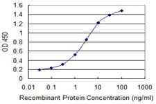 ZNF192 Antibody (clone 3B10)