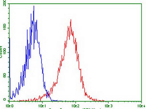 GPR49 / LGR5 Antibody (aa22-543, clone UMAB210)