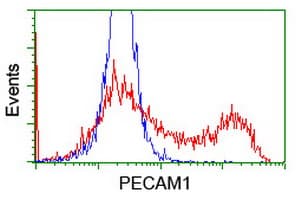 PECAM-1 / CD31 Antibody (clone OTI4C1)