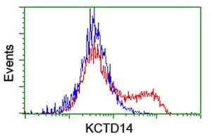 KCTD14 Antibody (clone OTI1A11)