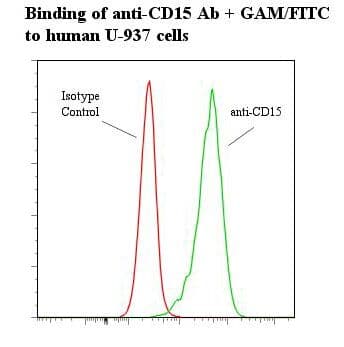PathPlus™ Monoclonal Mouse anti-Human SSEA-1 / Lewis x / CD15 Antibody (clone AHN1.1, IHC)