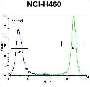 HIST3H3 Antibody (aa50-78)