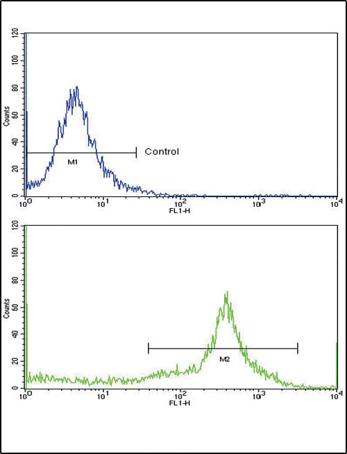 Polyclonal Rabbit anti-Human HLA-DRB1 Antibody (aa30-58, IHC, WB)