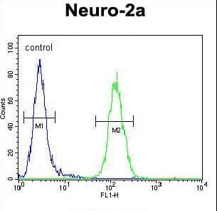 LCN10 Antibody (aa94-123)