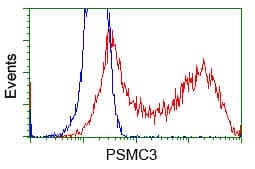 PSMC3 Antibody (clone OTI9C11)