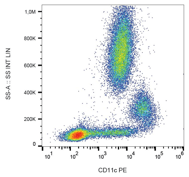 Monoclonal Mouse anti-Human ITGAX / CD11c Antibody (clone BU15, PE, IHC)