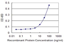 Monoclonal Mouse anti-Human PRM1 / Protamine 1 Antibody (clone 4F10)